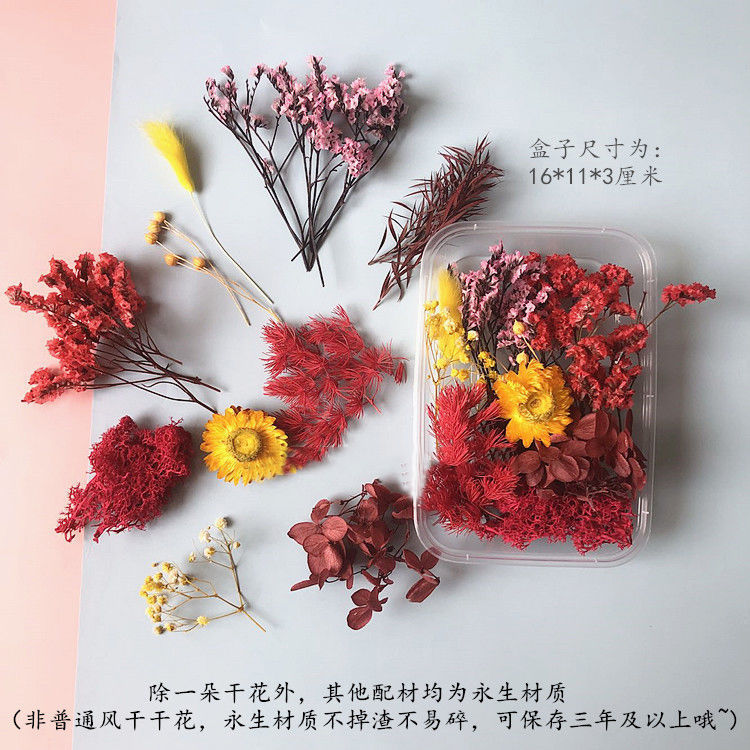 Wholesale Eternal Flower Baby's Breath Daisy Dried Flower Floating Flower Pressed Flower Kindergarten Handmade Flower Art Diy Filling Material